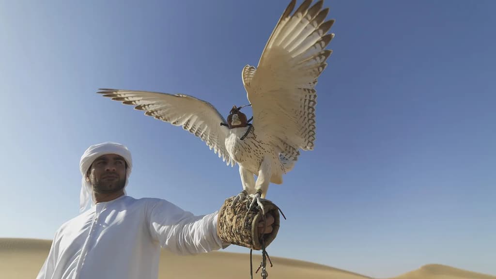 Bildungsurlaub Vereinigte Arabische Emirate