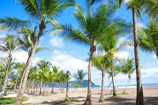 Bild Jacó Beach - Costa Rica