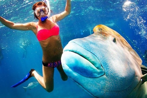 Bild 9. Brisbane/Sunshine Coast - Australien