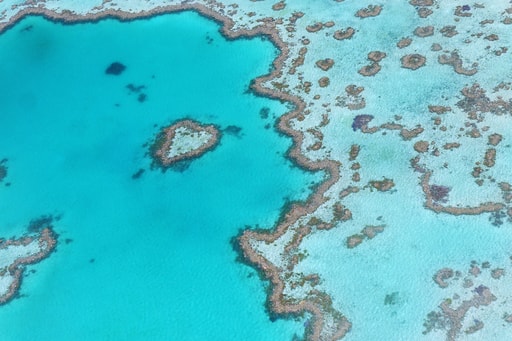 Bild Great Barrier Reef