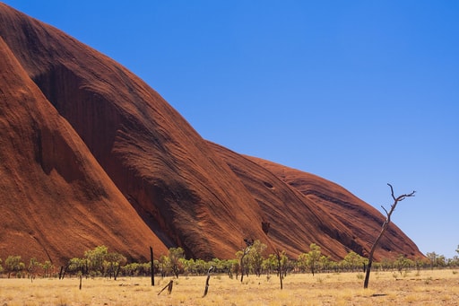 Bild Uluru