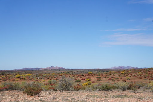 Bild Outback-Abenteuer