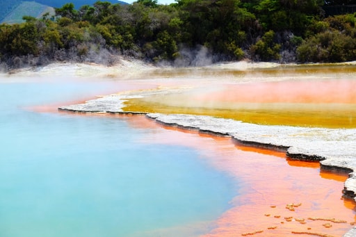 Bild Rotorua Geothermalwunder