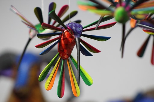 Bild Oaxaca Kultur