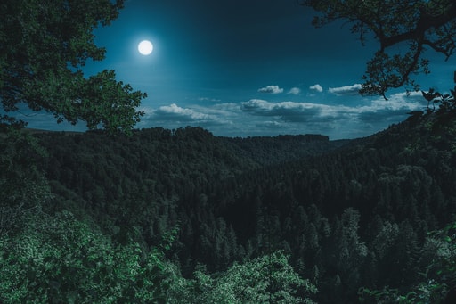 Bild Vollmond Party