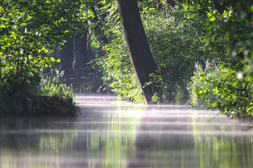 Bild Dana Naturreservat