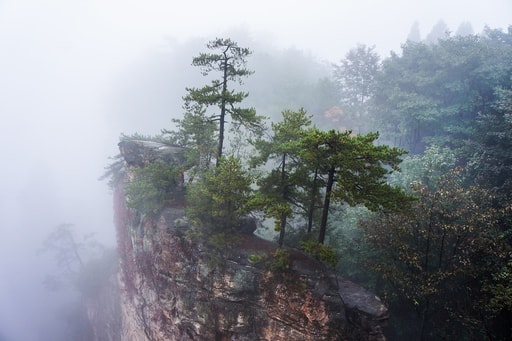 Bild Zhangjiajie