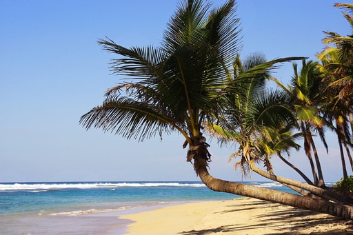 Bild Punta Cana Strände