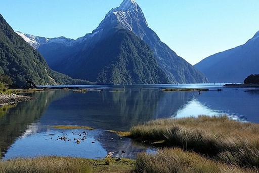 Bild Milford Sound