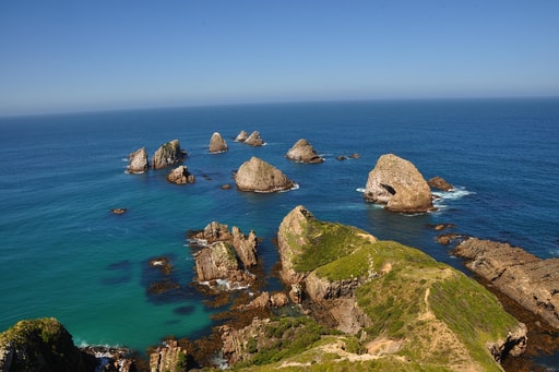 Bild Nugget Point