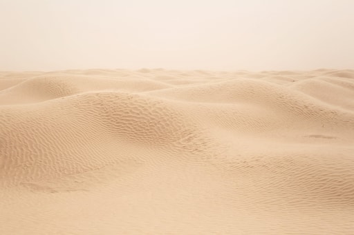 Bild Sahara-Abenteuer