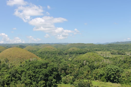Bild Bohol Schokoladenhügel