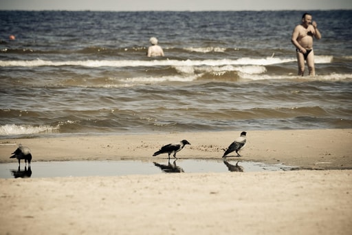 Bild Jūrmala Strand
