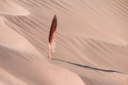 Bild Endlose Sanddünen
