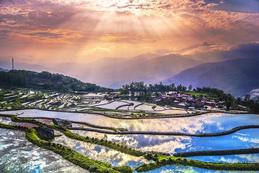 Bild Kunming