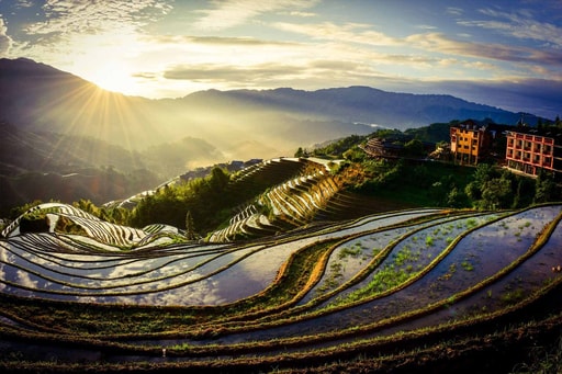 Bild Yuanyang