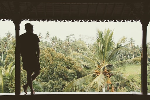 Bild Ubud (Bali)