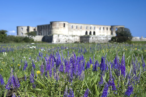 Bild Borgholm (Öland)