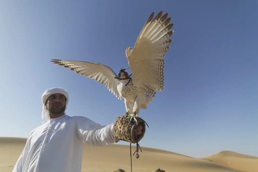 Vereinigte Arabische Emirate