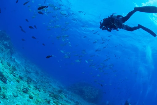 Taucher im klaren Wasser vor Okinawa