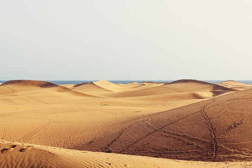 Bild Dünen Maspalomas