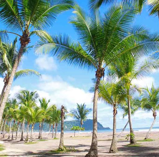Bild zur Bildungsurlaub-Veranstaltung Spanischkurs in Costa Rica: Erlebe Land und Kultur am Jacó Beach (zusätzlicher Surfkurs möglich)