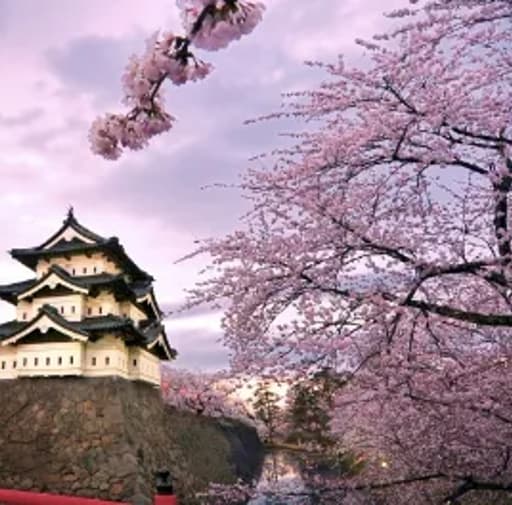 Bild zur Bildungsurlaub-Veranstaltung Japanische Sprache und Kultur in Kobe erleben