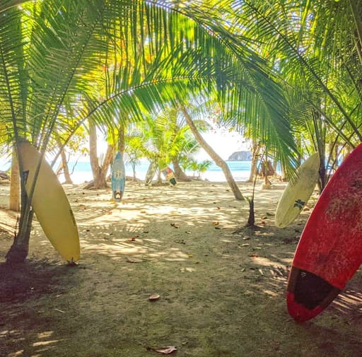 Bild zur Bildungsurlaub-Veranstaltung Spanischkurs: 5 Tage am Meer bei Manuel Antonio Costa Rica (25 UE)