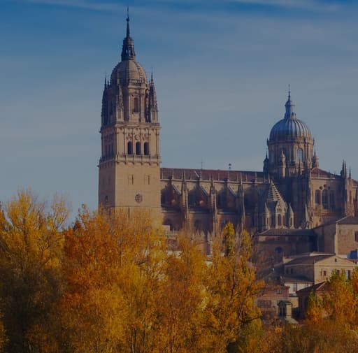 Bild zur Bildungsurlaub-Veranstaltung Spanischkurs in Salamanca (Super Intensiv 30): Sprachenlernen in der goldenen Universitätsstadt