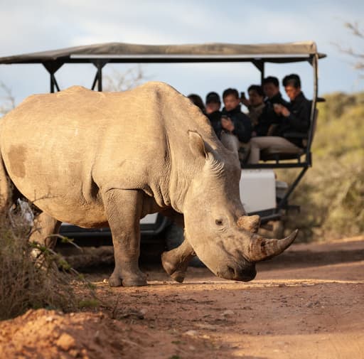 Bild zur Bildungsurlaub-Veranstaltung Englischkurs auf Kapstadt (GE 30): 10 Tage in Südafrika