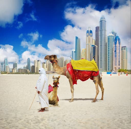 Bild zur Bildungsurlaub-Veranstaltung Englischkurs in Dubai: 5 Tage GE30