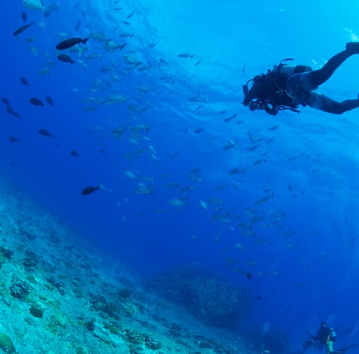 Bild zur Bildungsurlaub-Veranstaltung Japanisch Sprache und Kultur: 1 Wochen im tropischen Paradies Okinawa (Exklusiv für A0 Anfänger mit Hiragana-Kenn