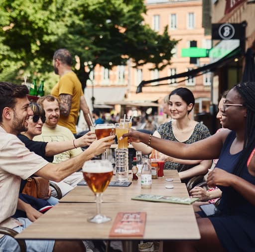 Bild zur Bildungsurlaub-Veranstaltung Französisch Sprachkurs in Toulouse (30 UE): 10 Tage in der rosaroten Stadt