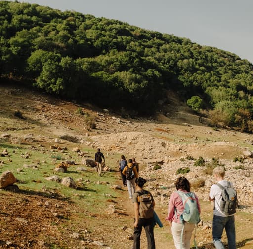 Bild zur Bildungsurlaub-Veranstaltung Arabisch Sprachkurs in Amman: 10 Tage Modernes Hocharabisch im Tor zur Wüste